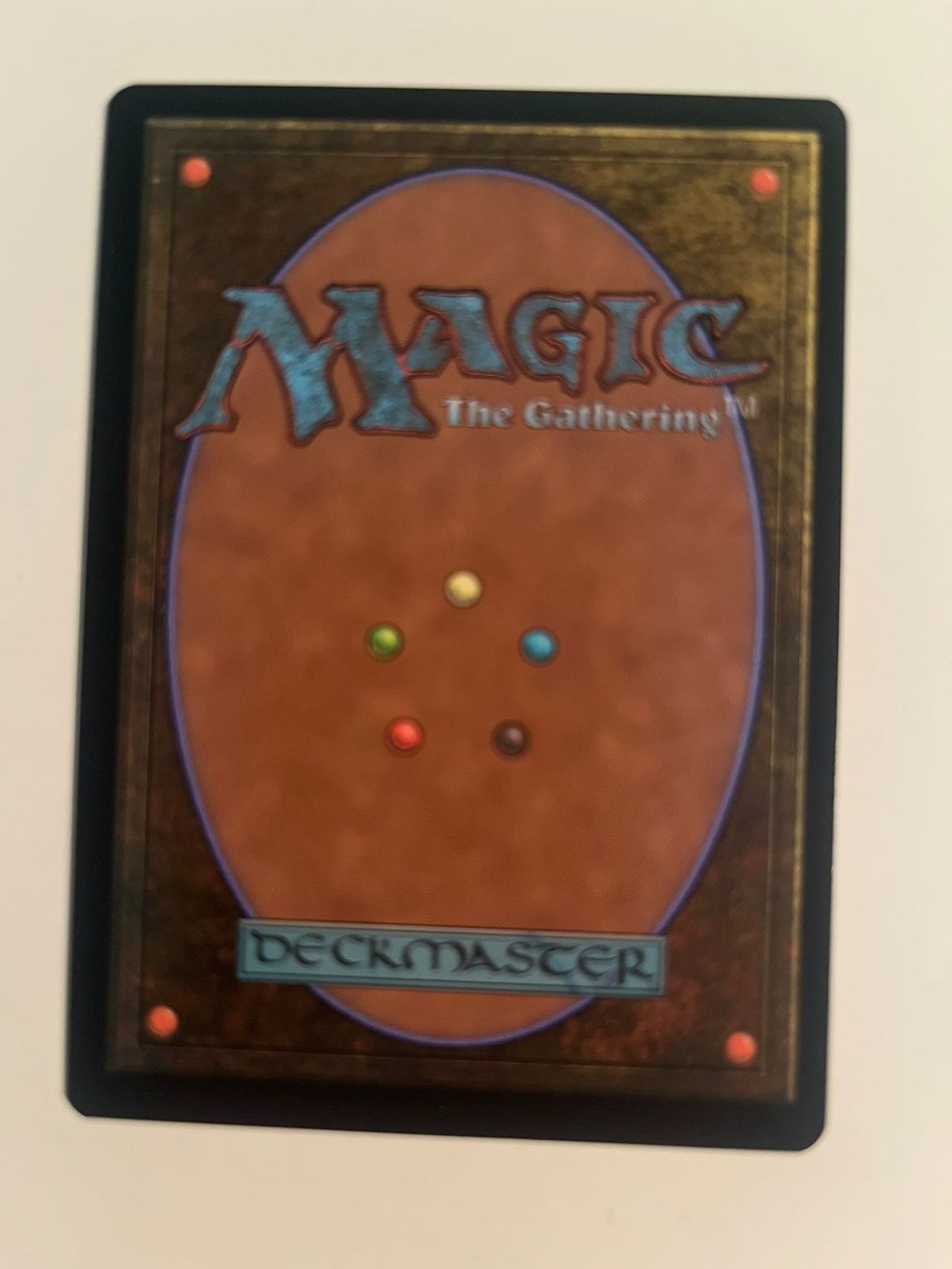 Magic The Gathering Carte collezionabili: 1 x Evolving Wilds - Magic: The Gathering - MtG – Usato da Kriens venduto da Shadi1980 1