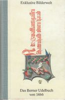 Exklusive Bilderwelt: das Berner Udelbuch von 1466