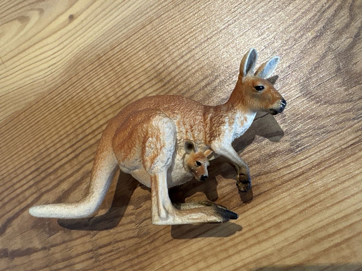 Schleich Statuette: Schleich Känguru – Usato da Freienwil venduto da leonie84