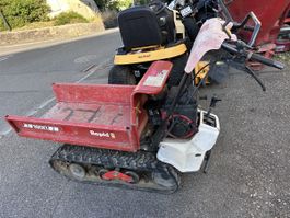 Rapid Raupen Dumper