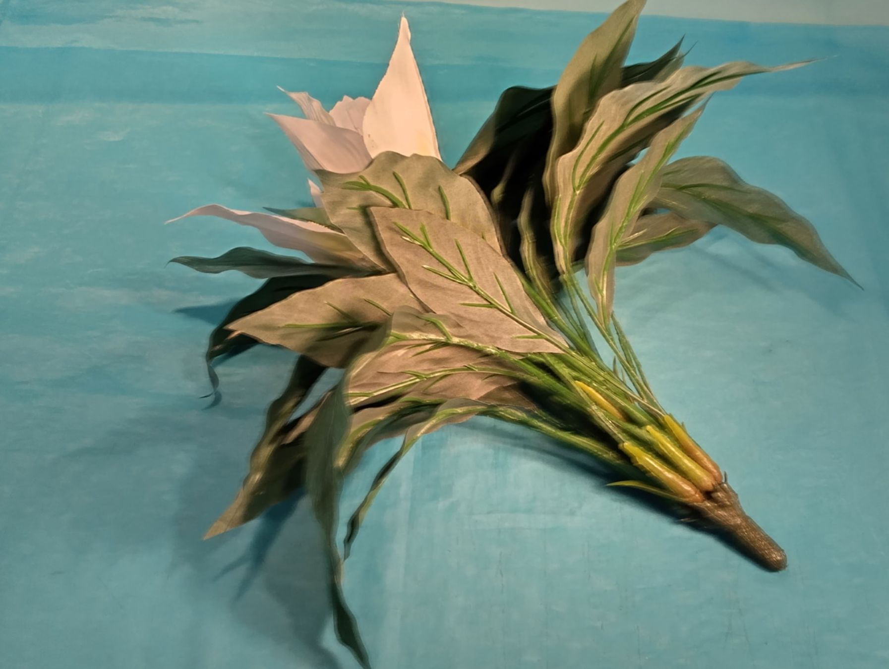 Pflanzen & Samen: Ganze Zimmerpflanze Calla – Gebraucht aus Bellach von JingleCherry 2