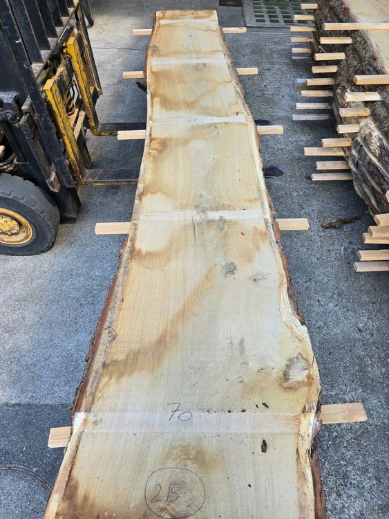 Articoli in legno: Eichenbrett Nr. 215 – Nuovo (secondo la descrizione) da Lützelflüh-Goldb venduto da ch.waelchli-holz.ch