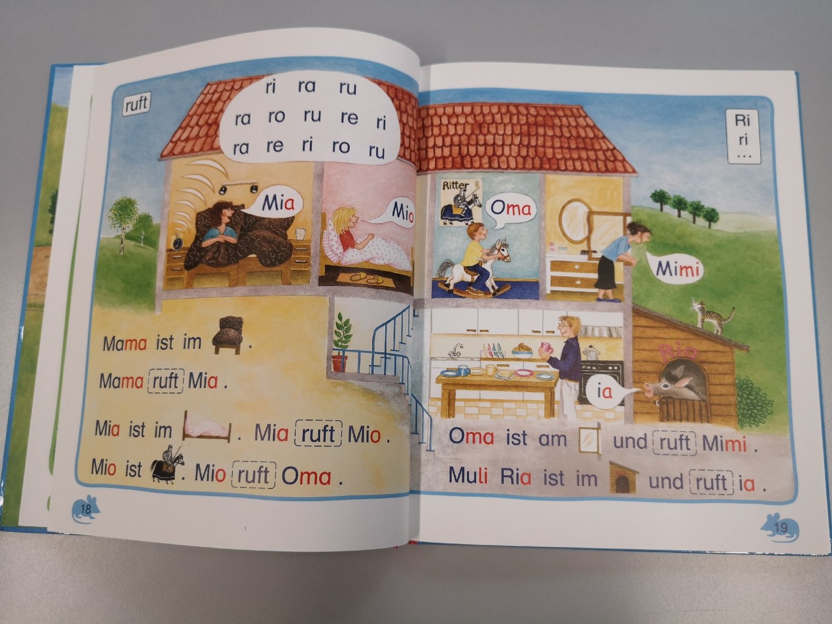 Libri: ABC der Tiere - Lesen in Silben – Usato da Sissach venduto da cor_n2dt 3