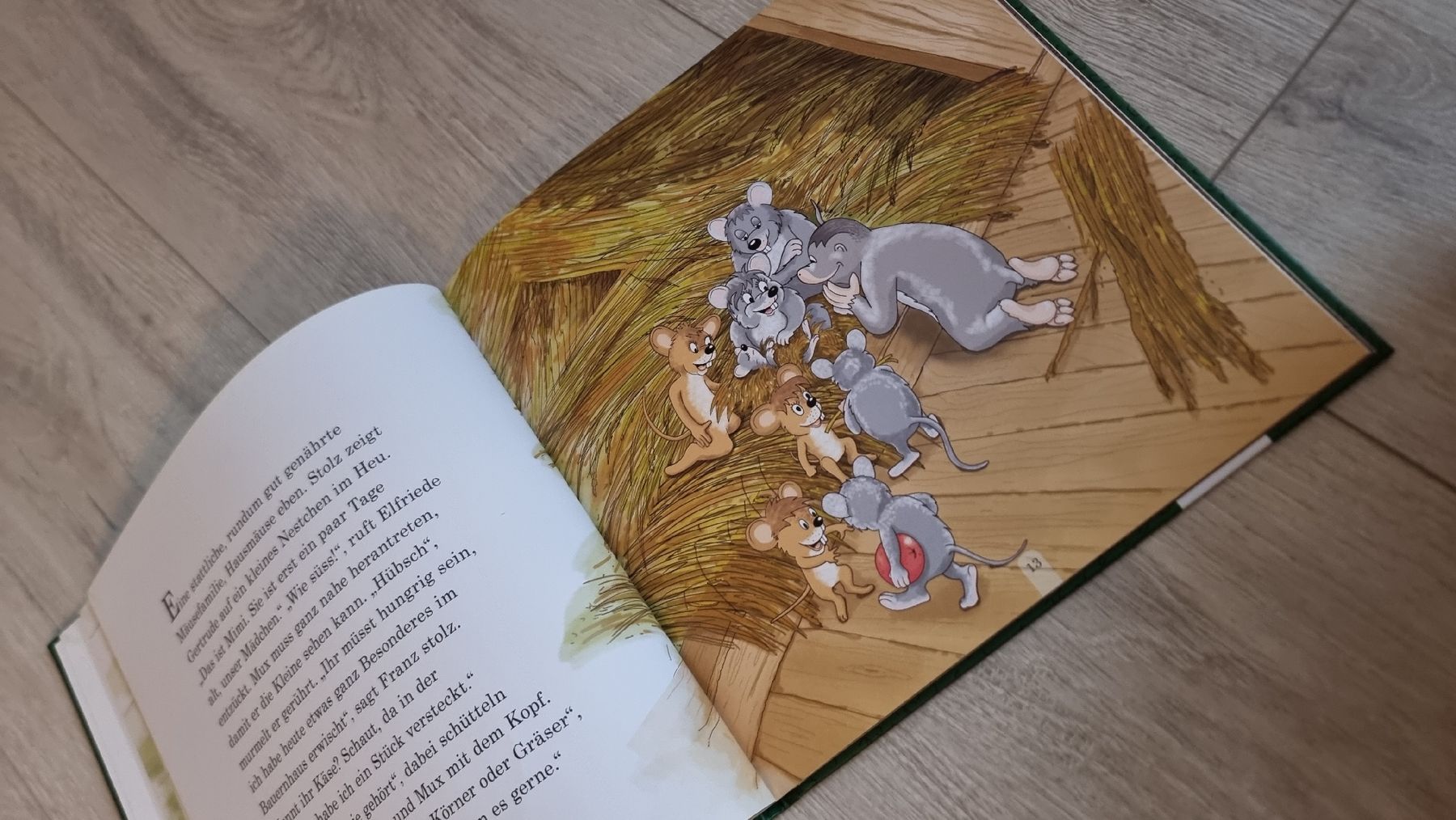 Bücher: Märchenbuch: Mux der Maulwurf - Endlich Ferien! – Gebraucht aus Wigoltingen von Zuckerfee84 3