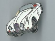 Oldtimer Jaguar, Pin
