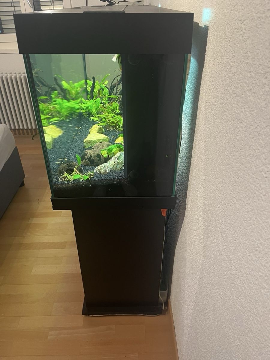 Juwel Acquari: Aquarium 240l, Top Zustand – Usato da Hurden venduto da Flori2803 2