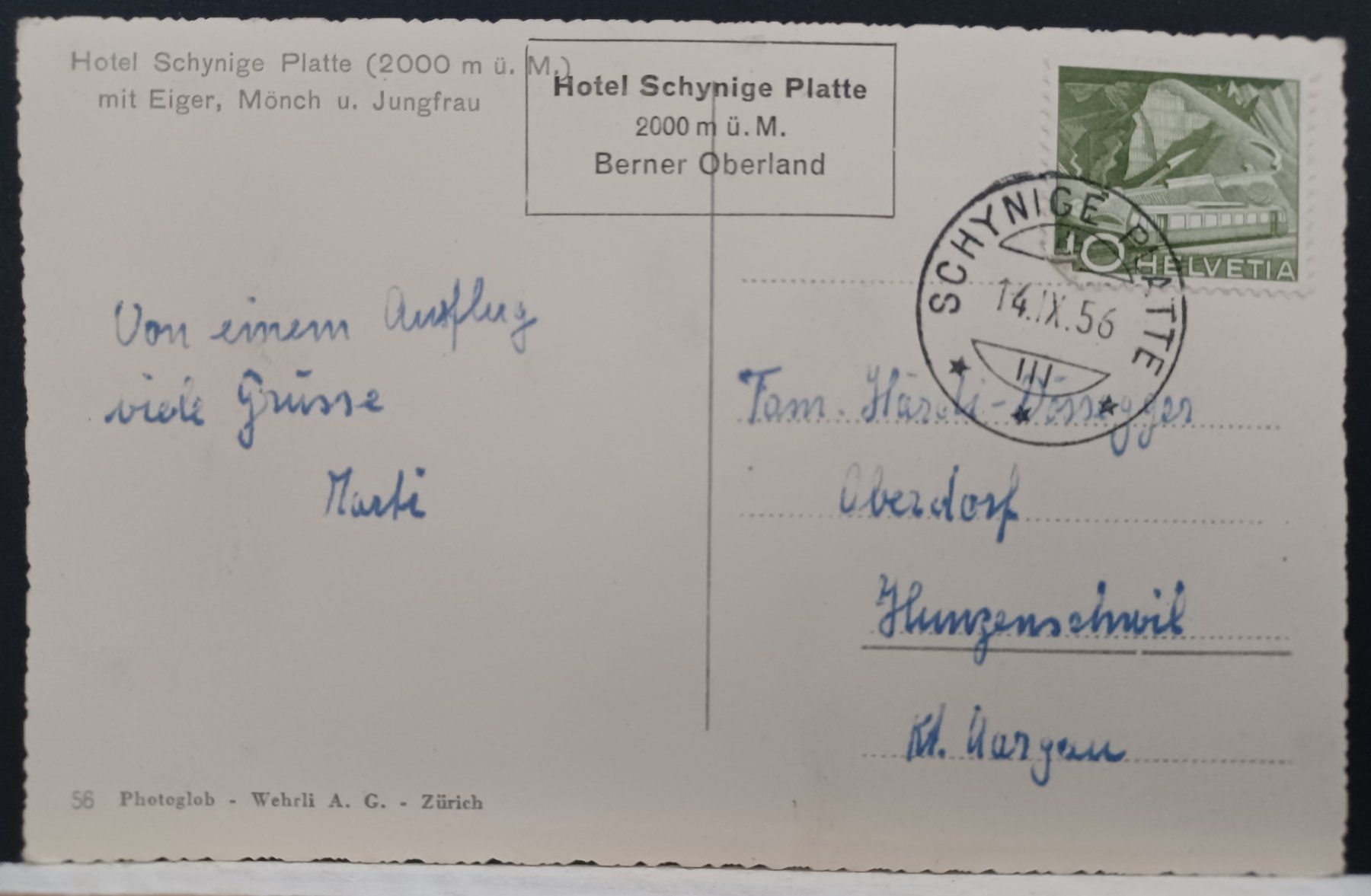 Cartoline postali: BE, Schynige Platte , Berner Oberland, 1956 – Usato da Aarau Rohr venduto da mgvw 4