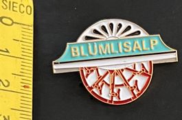 Motiv Schaufelraddampfer ,Blüemlisalp‘/Pin