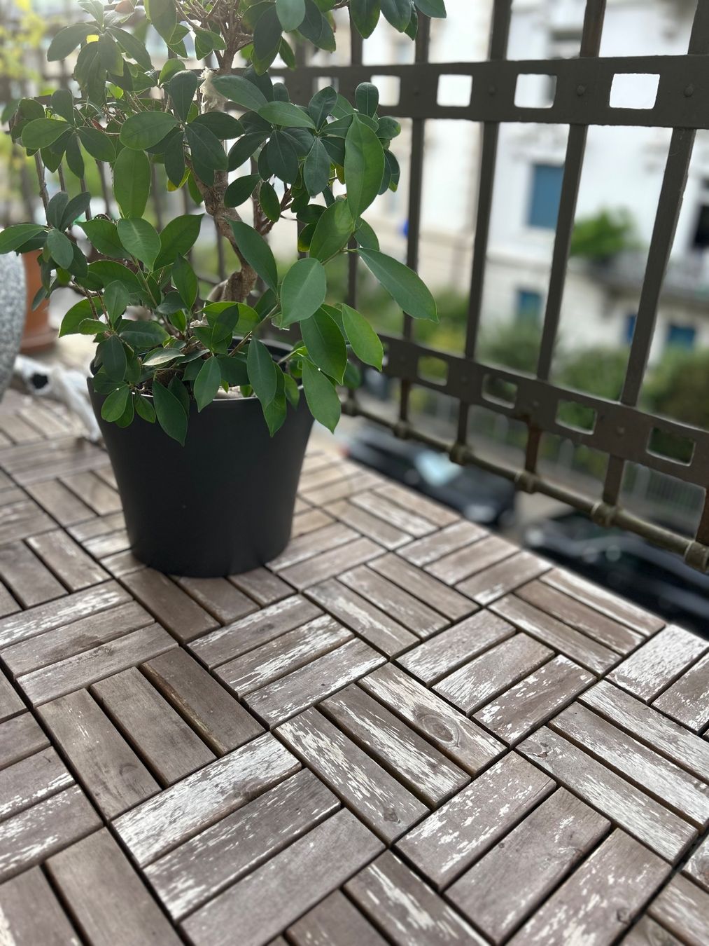 Holzartikel: Terrassenfliessen ADAM Akazie – Gebraucht aus Zürich von mar_st77