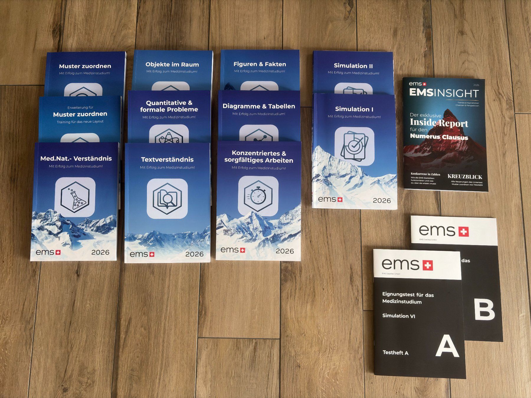 Libri: EMS-Coaches Gesamtpaket 2026 + Generalsimulation VI – Usato da Bettlach venduto da 73Ric