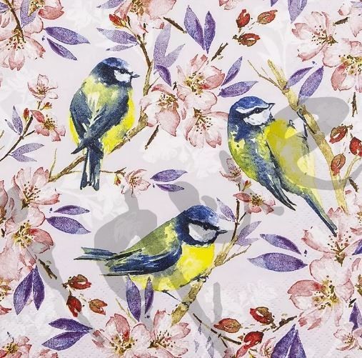 Tovaglioli: Serviette blue tits (1622) 2Stk. – Nuovo (secondo la descrizione) da Schlatt TG venduto da kreativ-atelier