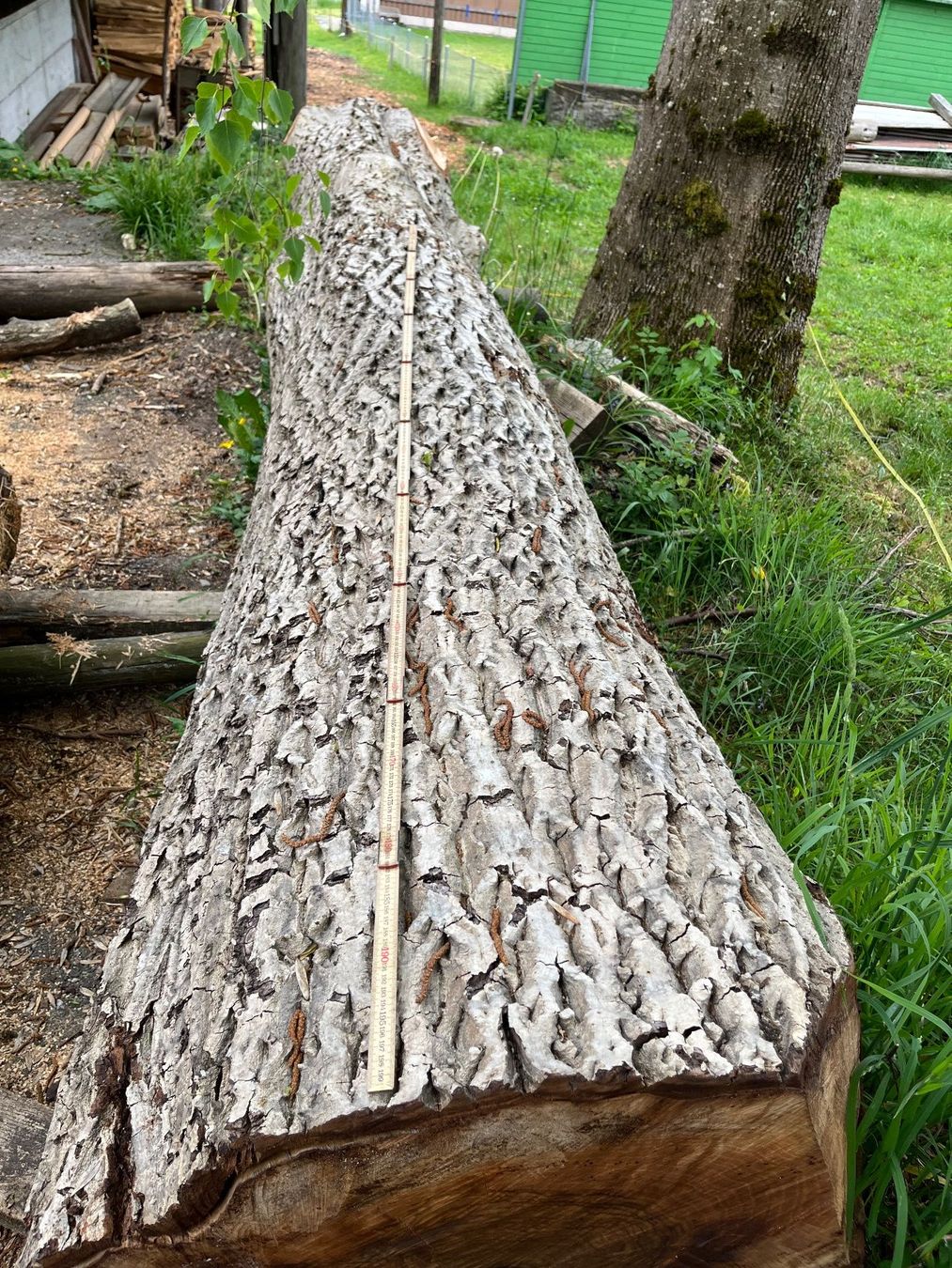 Articoli in legno: Nussbaumstamm, Bretter, Bohlen, Tisch – Nuovo (secondo la descrizione) da Nürensdorf venduto da Peterhakab