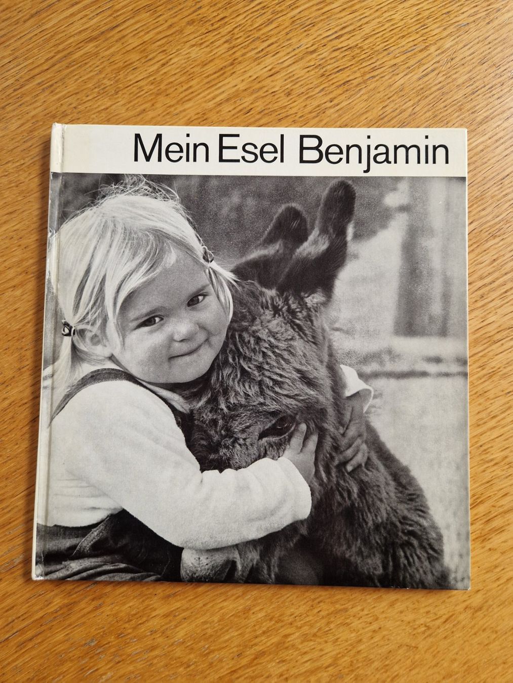 Libri: Mein Esel Benjamin – Usato da Balterswil venduto da Little-nemo