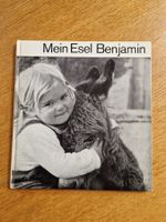 Mein Esel Benjamin