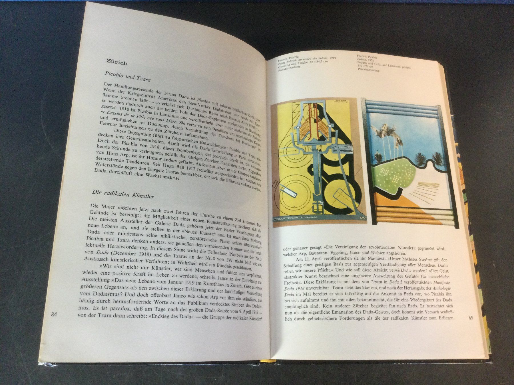 Libri: Buch über Futurismus und Dadaismus – Usato da Wangen SZ venduto da kuriosum12 2