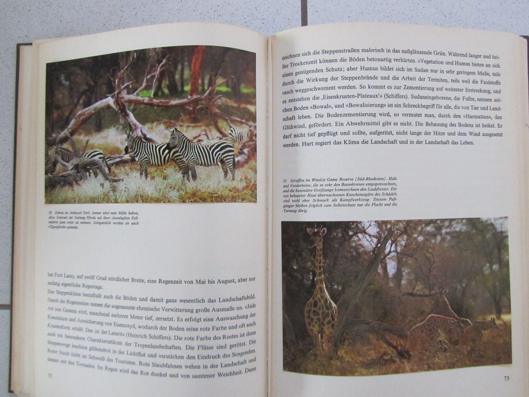 Libri: Afrika, Wüste Steppe Urwald - Silva Buch von 1963 – Usato da Weiningen ZH venduto da dietsch57 6