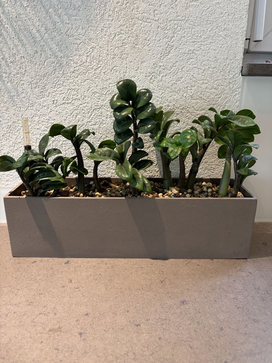 Blumentöpfe: Plant pot – Gebraucht aus Münchenstein von ArleneLM
