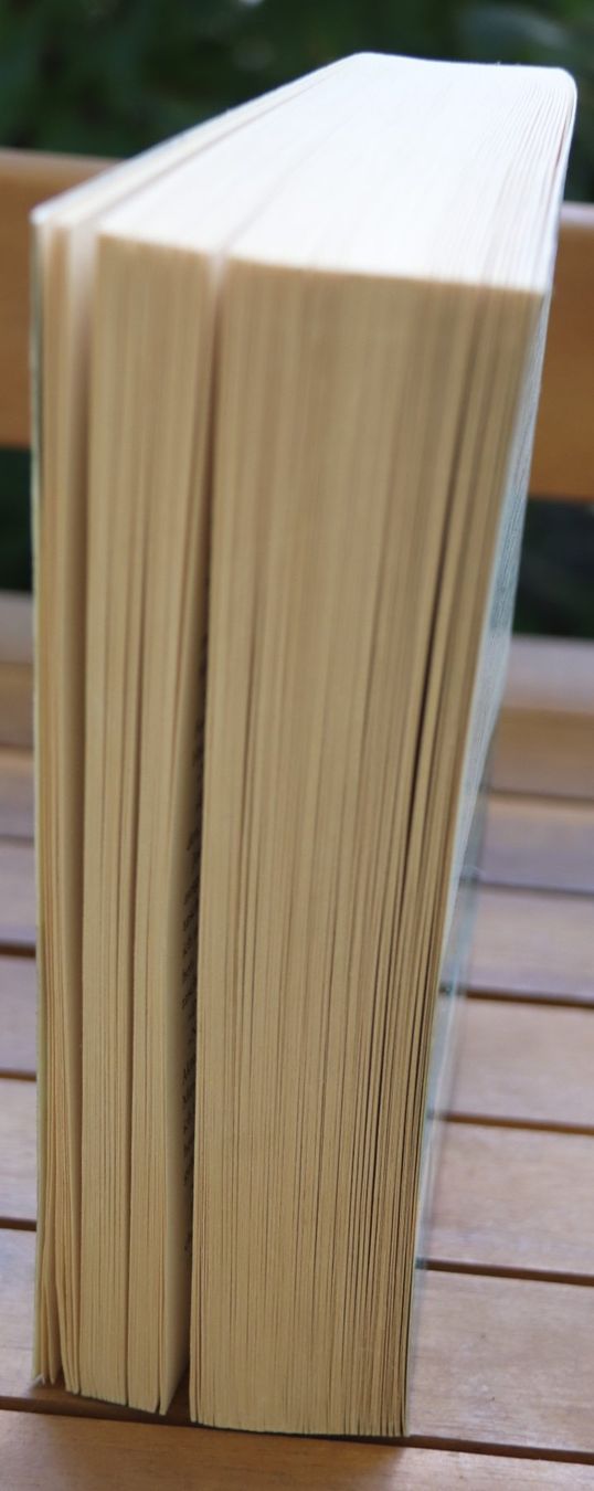 Libri: Der Aussenseiter von Minette Walters – Usato da Glattfelden venduto da Vrenely 3