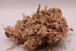 Sphagnum Moos Trocken - 100g