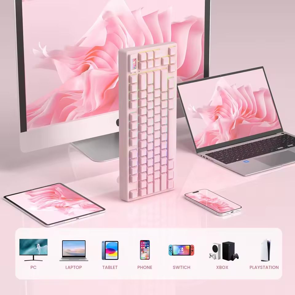 Tastiere: Womier SK80 PRO Wireless Mechanical Pink Keyboard Display – Nuovo e nell'imballaggio originale da Belmont-Lausanne venduto da HausPopCharm 7