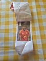 PANINI WM 2026 | COCA-COLA | LAMINE YAMAL
