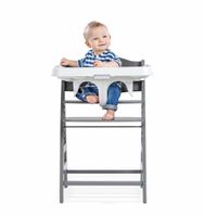 Hauck Alpha tray white 