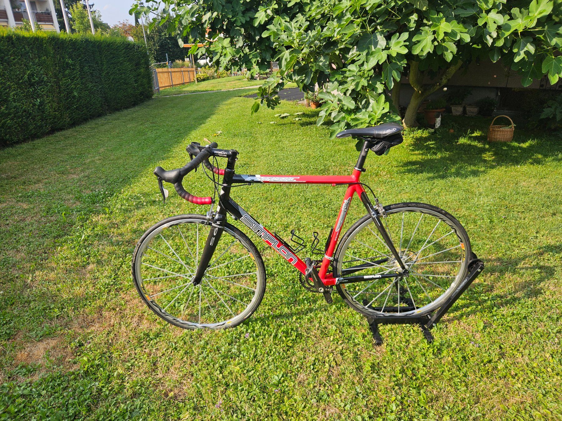 Simplon Vélos: Simplon Phasic S6 RH 62 – D'occasion à Oberrieden par PatJoseStone 1