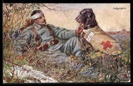 Verwundeter Soldat wurde von Sanitätshu
