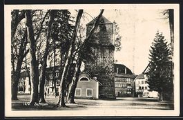 Zofingen, kleine Strassenpartie m. Blick