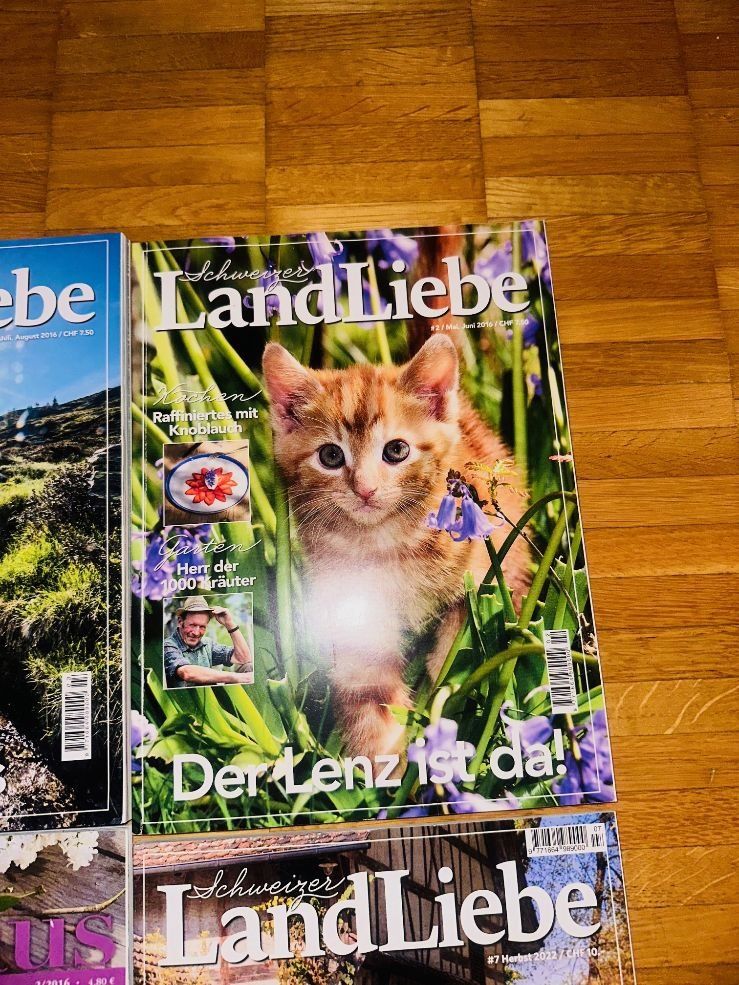 Riviste & Magazine: 4 Landliebe Magazin Ausgaben – Nuovo (secondo la descrizione) da Fällanden venduto da LetiRobi 3