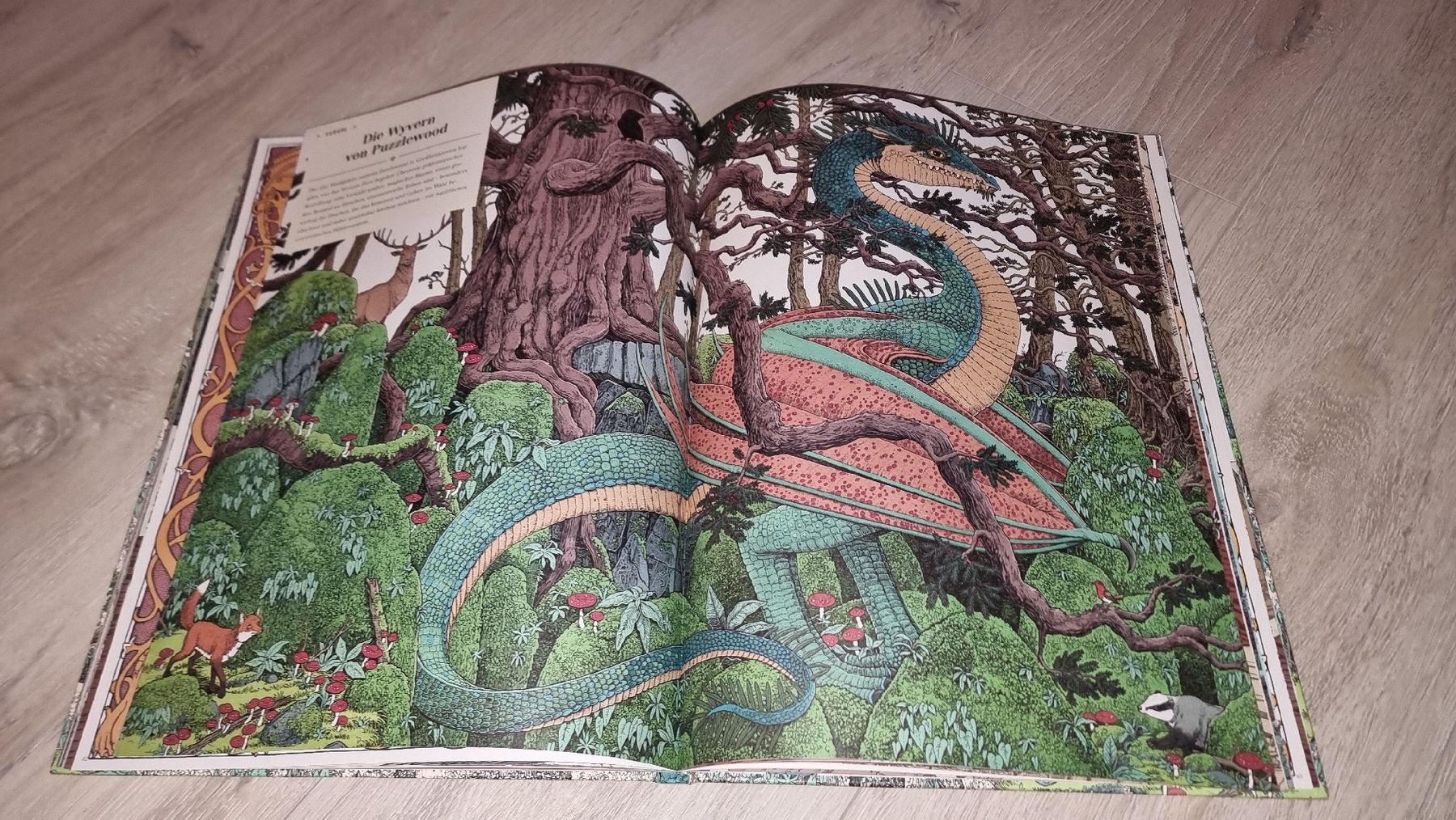 Libri: "Die Hüterin der Drachen" Großformat Neuwertig – Nuovo (secondo la descrizione) da Wigoltingen venduto da Zuckerfee84 3