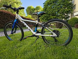 VTT enfant Bulls Tokee Lite 20 gris/bleu de 2024