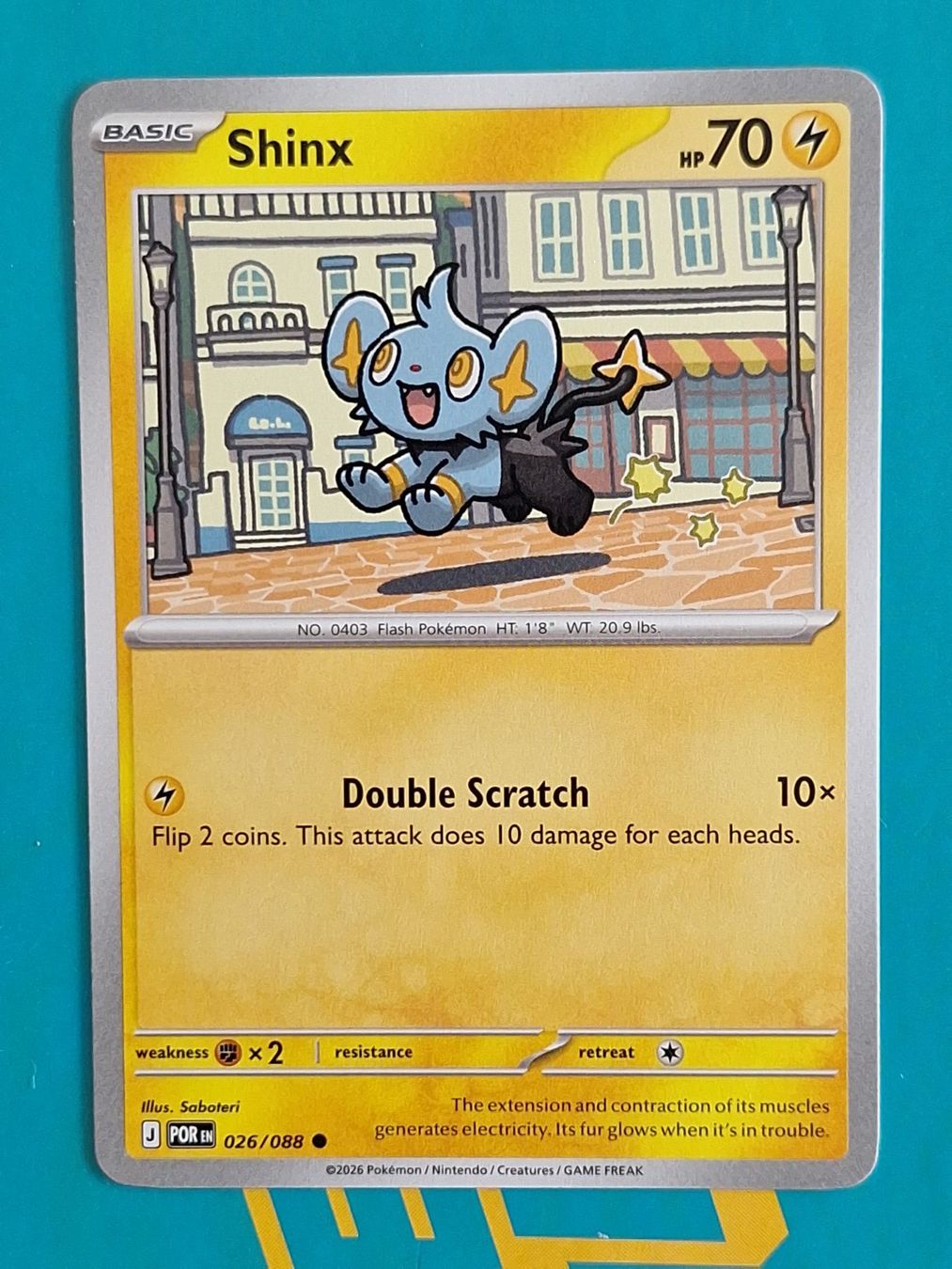 Pokémon Carte collezionabili: Shinx - Pokemon Perfect Order – Usato da Altstätten SG venduto da GGsGameshop
