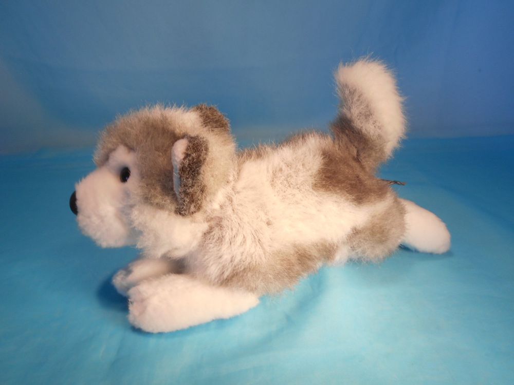 Collecta Sibirischer Husky Figur – Größe L, Naturgetreu, Handbemalt