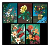 FLEURS EN SCÈNE "Fleurs mise en Scènes" (Lot de 5x C.P.)