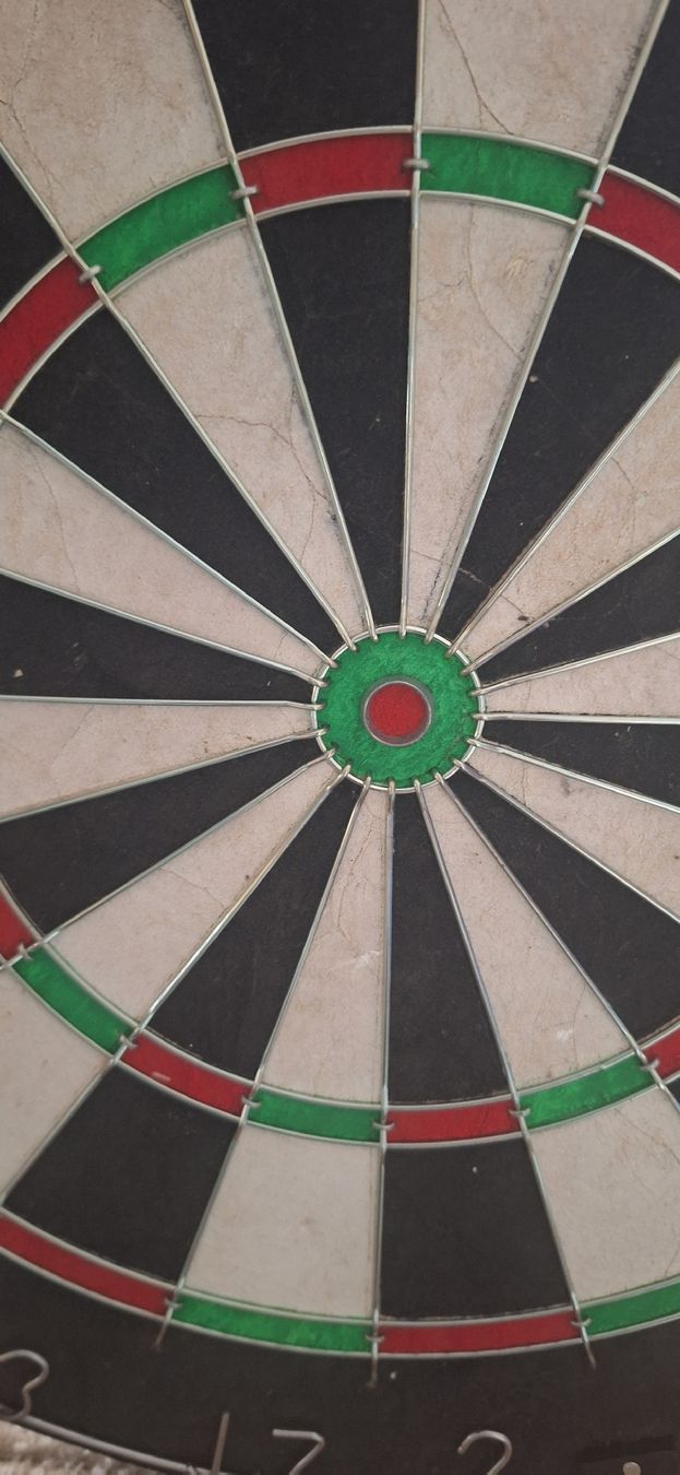 Freccette: Dartboard mit stabilen Pfeilen – Nuovo (secondo la descrizione) da Gretzenbach venduto da Chillkrot 1