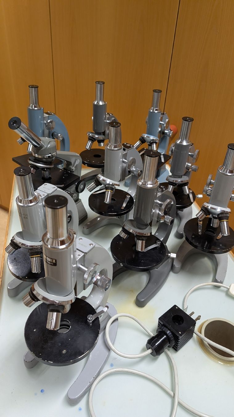 Microscopi: Mikroskope Set von 10 Stk. für Schule oder Hobby – Usato da Kirchberg SG venduto da Speedcuber77 1