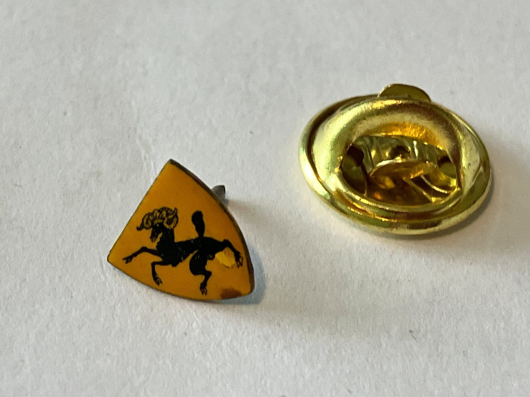 Placchette & Badge: 1 Pin Schaffhausen – Usato da Basel venduto da djwwpp
