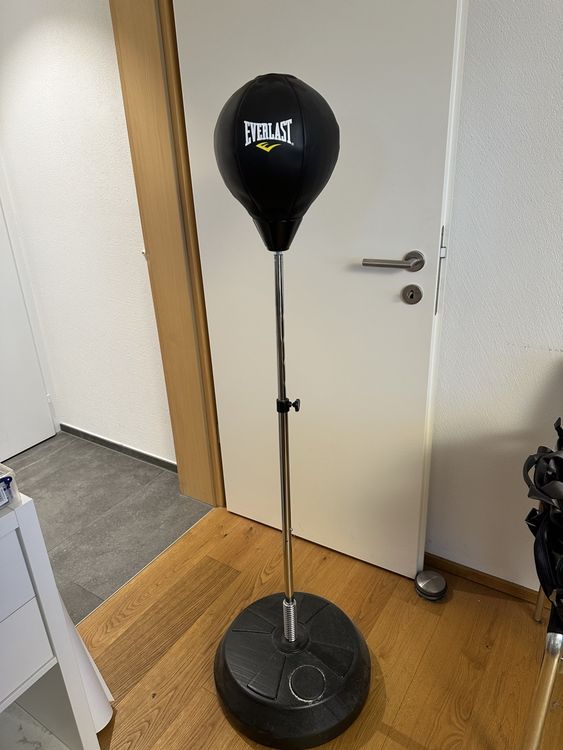 Punching ball 2024 everlast sur pied