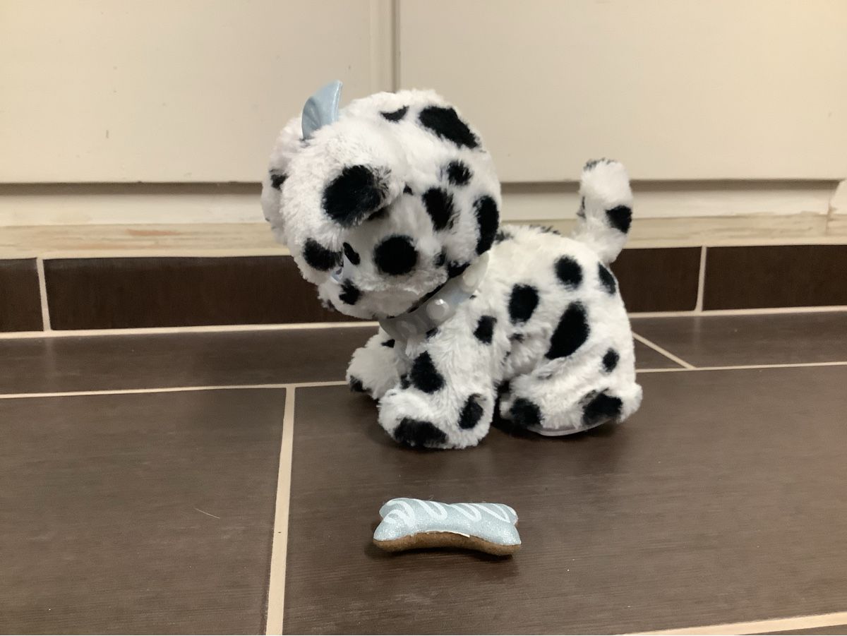 Giocattoli: Present Pets Hund mit Funktionen – Usato da Brugg AG venduto da Sweety_pie 1