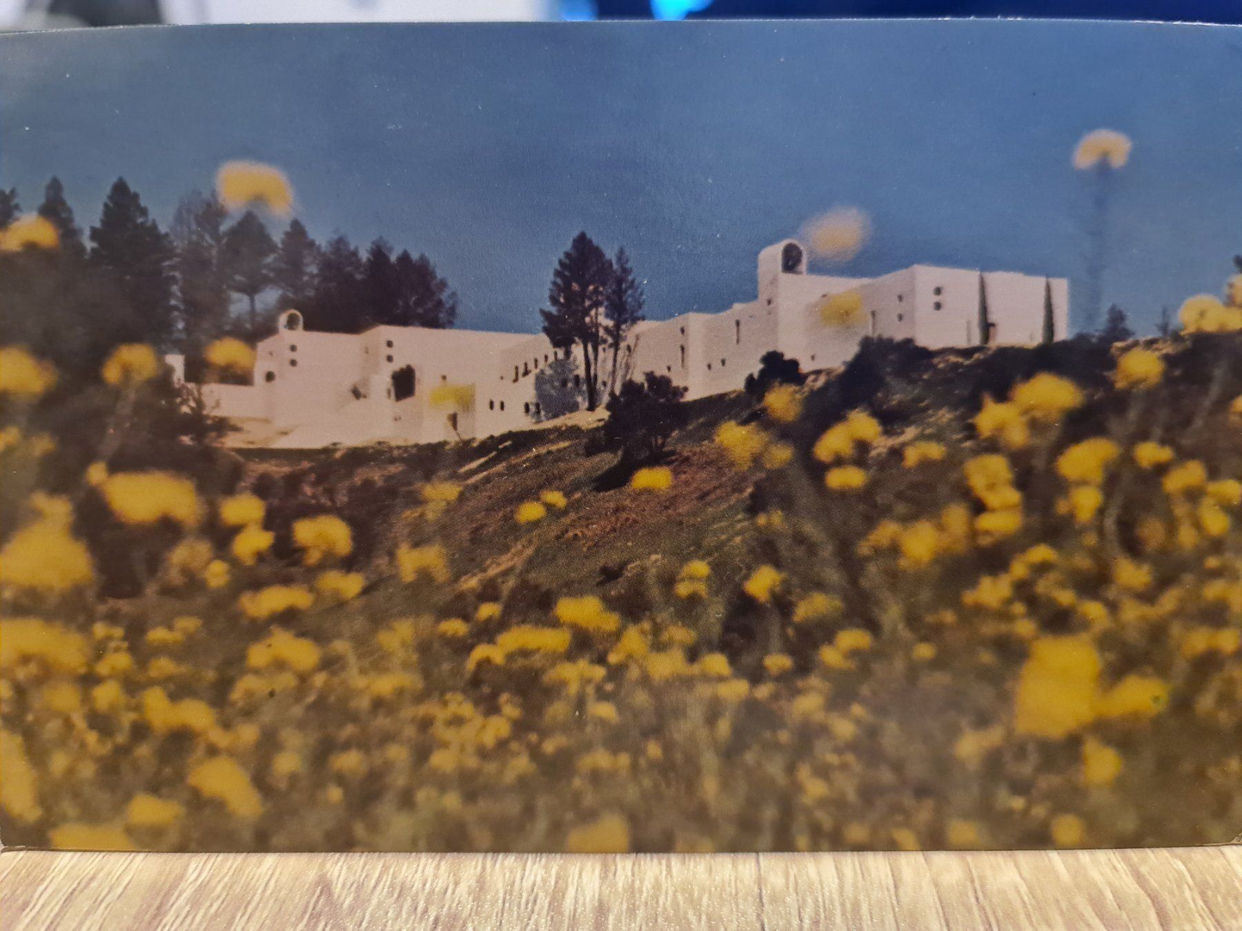 Cartoline postali: Ansichtskarte Napa Valley USA 1978 – Usato da Dintikon venduto da Vexi