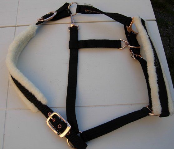 Briglie & Cavezze: Stallhalfter von Showmaster für Warmblut – Nuovo (secondo la descrizione) da Dübendorf venduto da rumpumpel 1