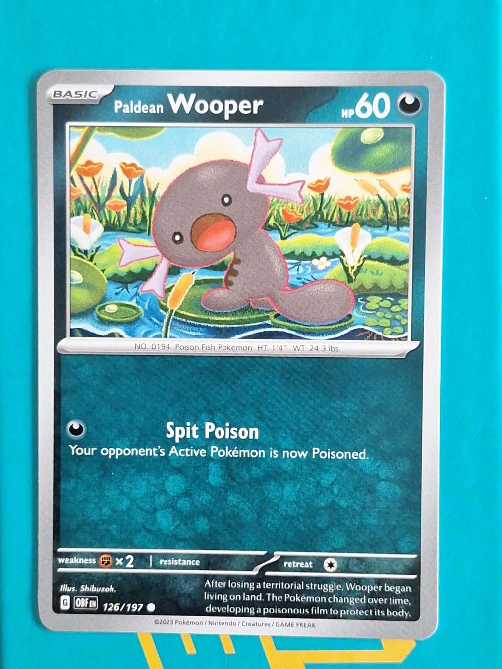 Pokémon Carte collezionabili: Paldean Wooper - Pokemon Obsidian Flames – Usato da Altstätten SG venduto da GGsGameshop