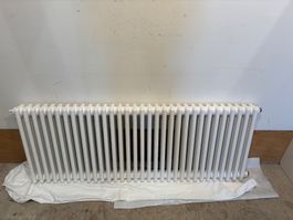 Zehnder Heizkörper Radiator frisch gestrichen