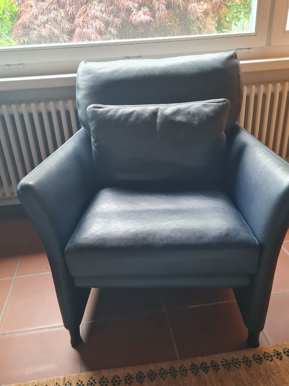 Knoll Divani: Dunkelblaues Leder Sofa /Marke "Walter Knoll" – Usato da Kleinandelfingen venduto da reg_yg6p 2
