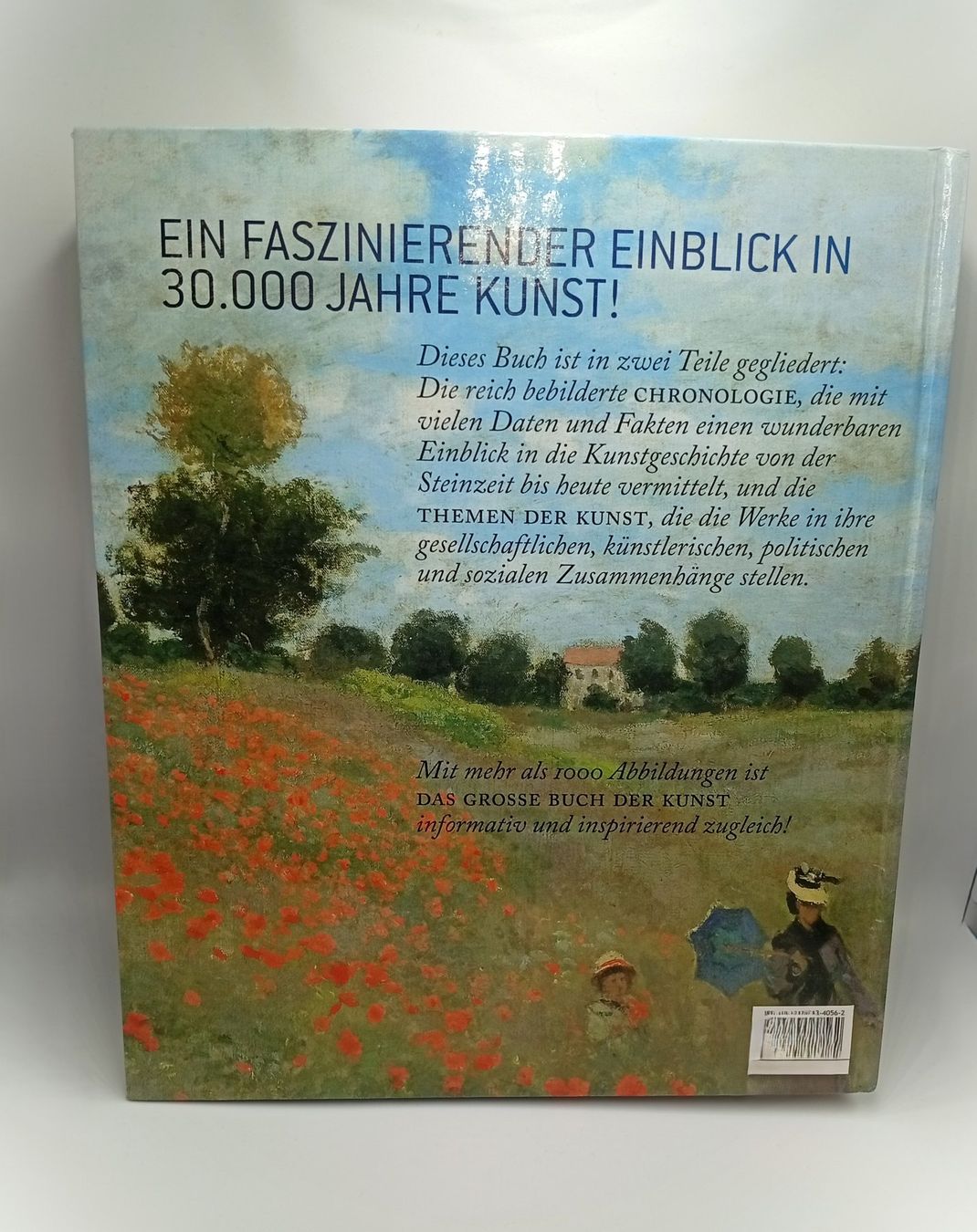 Libri: Das grosse Buch der Kunst – Usato da Winterthur venduto da tom_hc8g 1