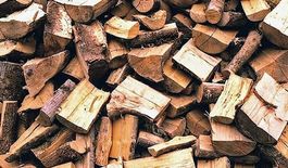 Bois de Chauffage - Foyard de Qualité