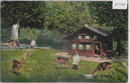 Weesen - Zwischen Hotel du Lac und See gelegener Wildpark