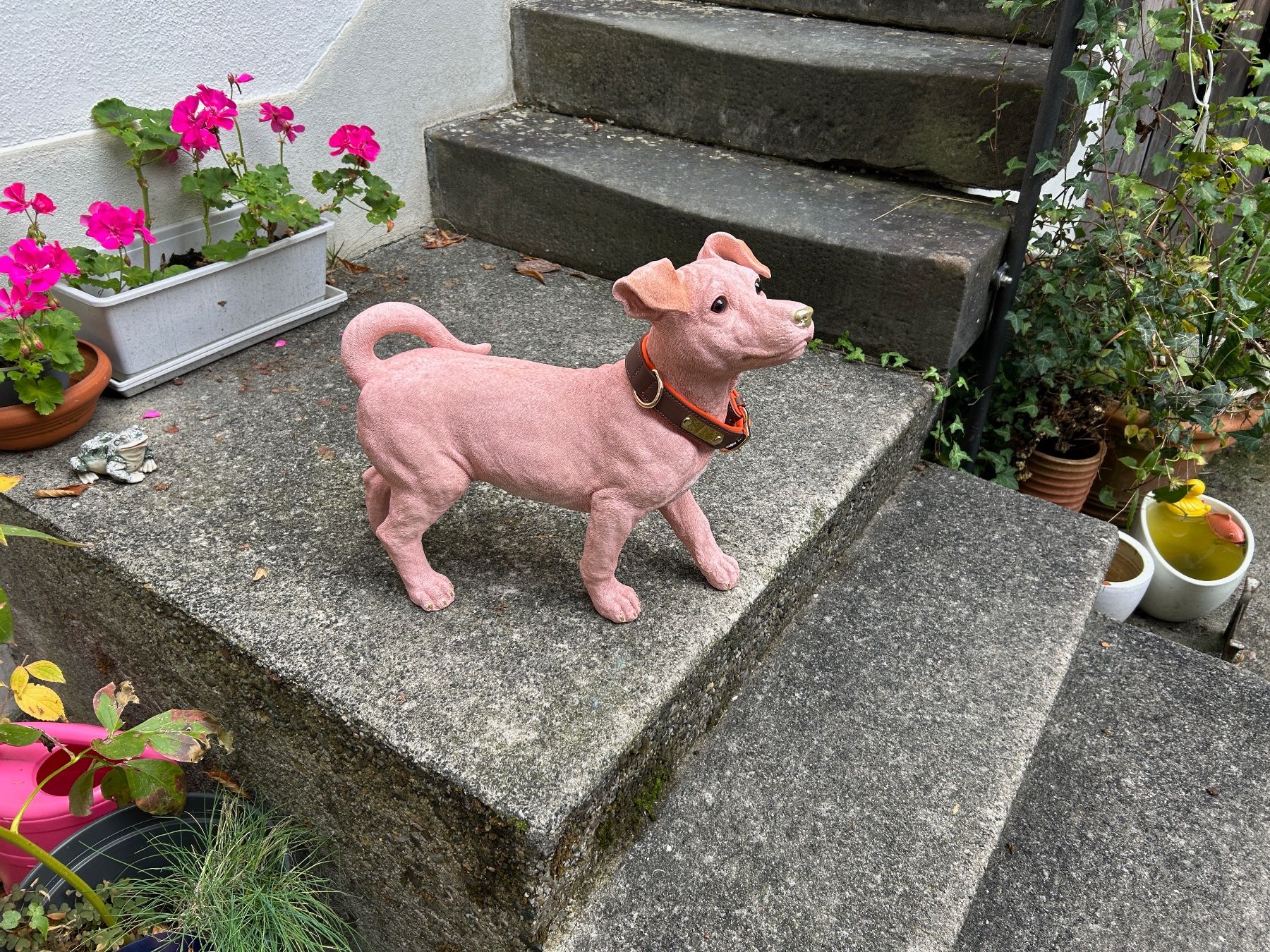 Statuette: H U N D rosa Nackthund – Usato da Rheineck venduto da emma.gut 8