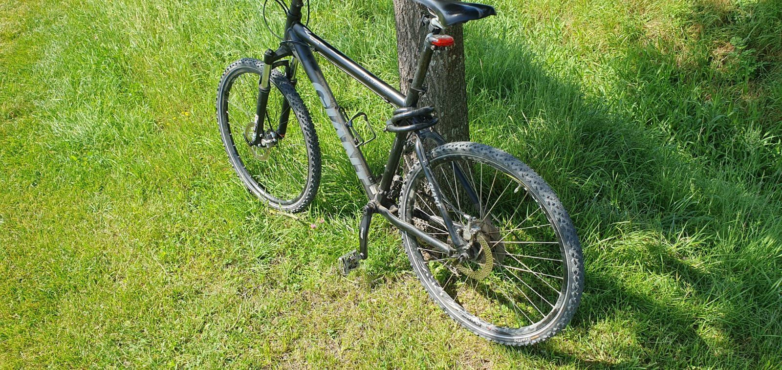 Giant Biciclette: Giant XTC 2.0 anthrazit 19'' Mountainbike – Usato da Märstetten venduto da activemember 4